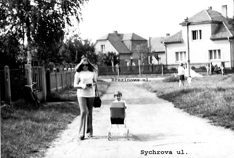 Čejkovi Sychrova_Březinova ul